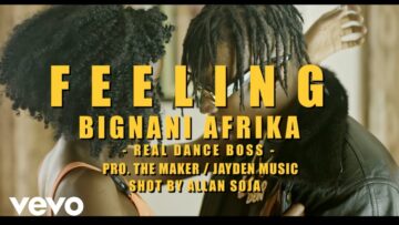 Bignani Afrika – Feeling