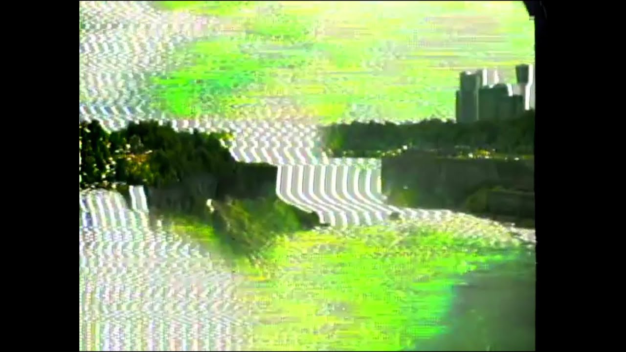 Ducks Ltd. – How Lonely Are You?