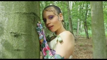 Fauness – Dragonfly