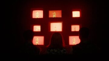 Dorsal Fins – Sugar