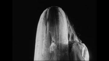 Allan Rayman – Dead Frogs