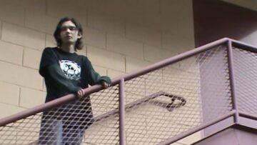 waveform* – Firework