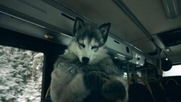 iamamiwhoami – zeven