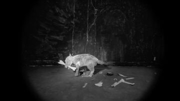 PJ Harvey – I Inside the Old I Dying
