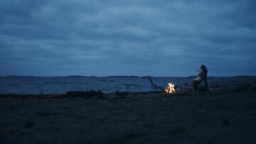 ionnalee – flying or falling