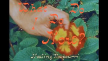 Healing Potpourri – What Do I Do Now?