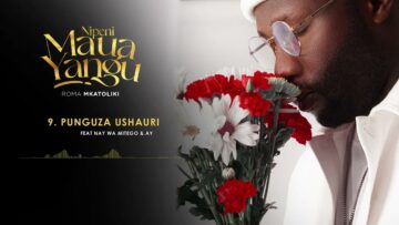 ROMA – Punguza Ushauri Feat Nay wa Mitego & AY