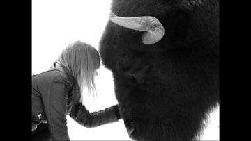 BLACK MIRRORS – Günther Kimmich