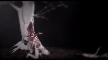 EARTH SHIP – Red Leaves
