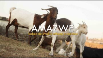 Kabza De Small & Mthunzi – Amazwe feat. MaWhoo