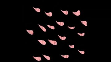 Sacred Paws – Fall for You