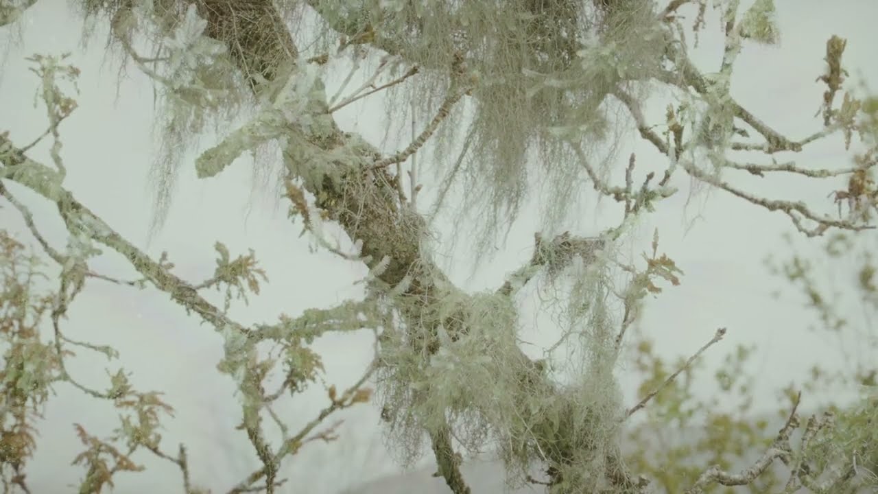 Lucy Gooch – Clouds