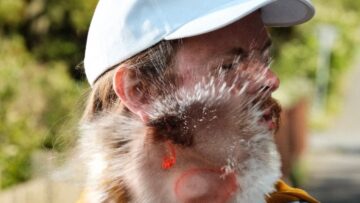 THE VINTAGE CARAVAN – Riot