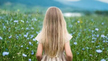 Dirt Road Opera – Where the Chicory Grows