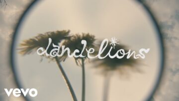 Whitney – Dandelions