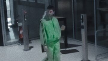 Fontaines DC – Desire