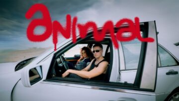 GAZDA PAJA x STOJA – ANIMAL