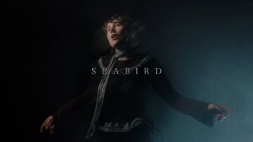 deary – Seabird