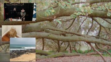 Romanie – Anything or Anyone